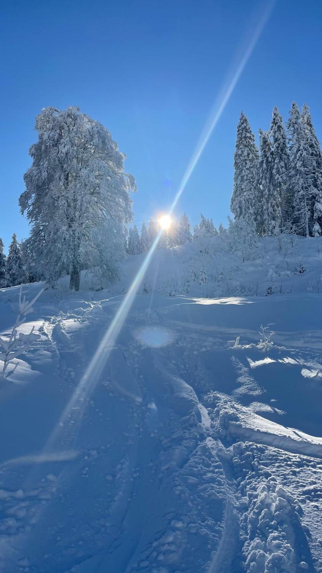 Kleineauszeit3, Feldberg, Direkt An Skipiste, Mit Sauna Feldberg  Ngoại thất bức ảnh